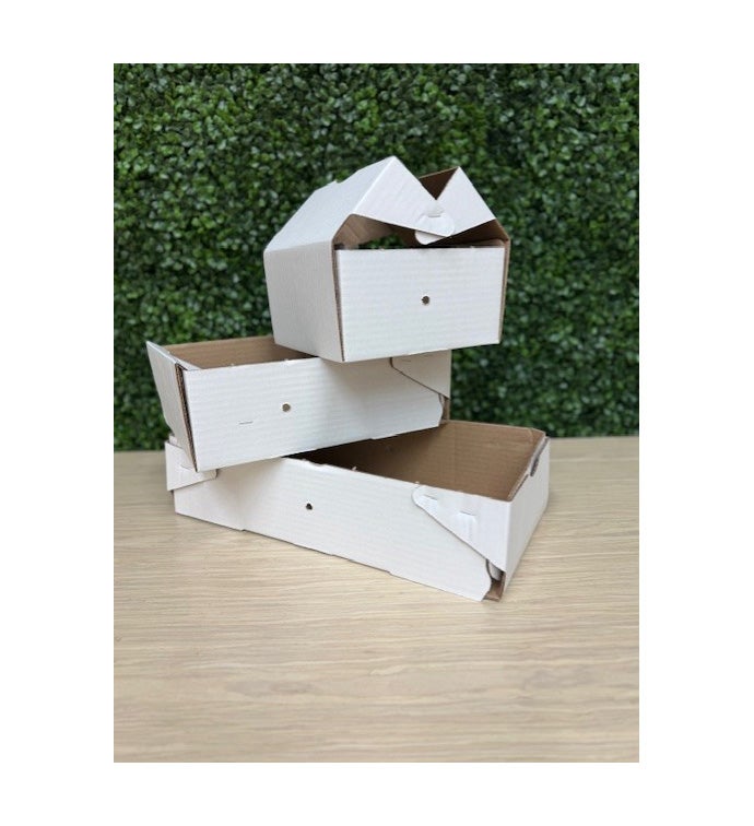 Pack All Box - Delivery Boxes White- Case of 100