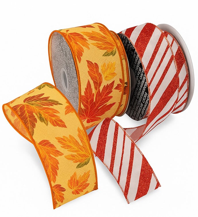 Holiday Box- Case Pack 2