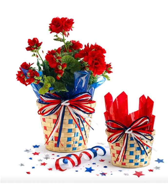 Patriotic Premier Kits - Case of 24
