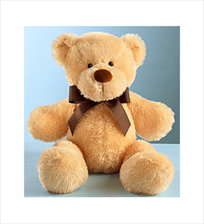 EVERYDAY BEAR FROM FIFTH AV - Case of 12