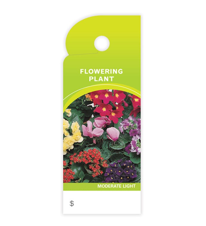 Trim Tags- Case of 500